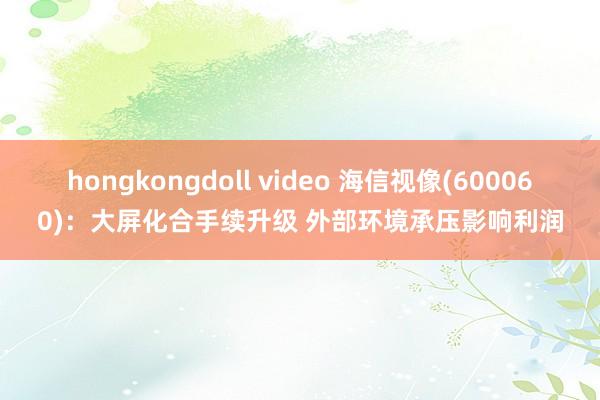 hongkongdoll video 海信视像(600060)：大屏化合手续升级 外部环境承压影响利润