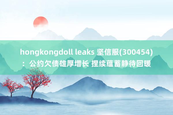 hongkongdoll leaks 坚信服(300454)：公约欠债雄厚增长 捏续蕴蓄静待回暖