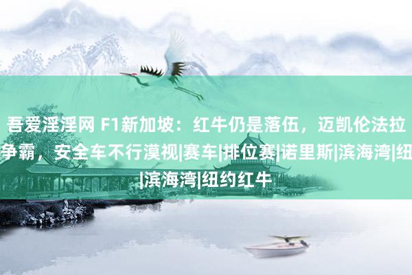 吾爱淫淫网 F1新加坡：红牛仍是落伍，迈凯伦法拉利两强争霸，安全车不行漠视|赛车|排位赛|诺里斯|滨