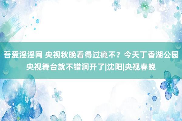 吾爱淫淫网 央视秋晚看得过瘾不？今天丁香湖公园央视舞台就不错洞开了|沈阳|央视春晚