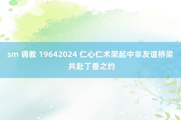 sm 调教 19642024 仁心仁术架起中非友谊桥梁 共赴丁香之约